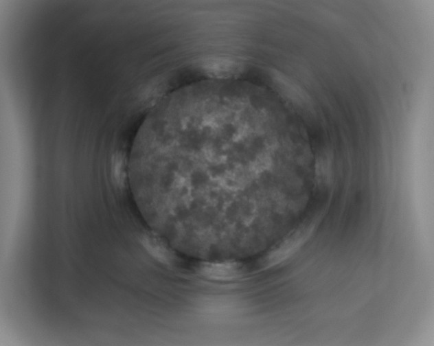 X0000111160671200907071130