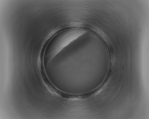 X0000111160674200907071129