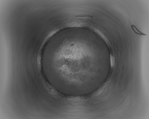 X0000111160675200907071129