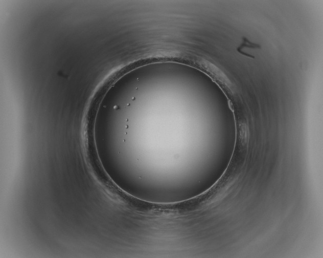 X0000111160676200907071129