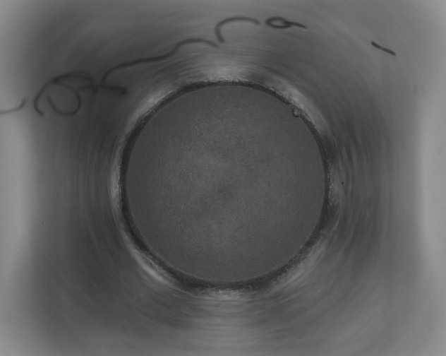 X0000111160677200907071129