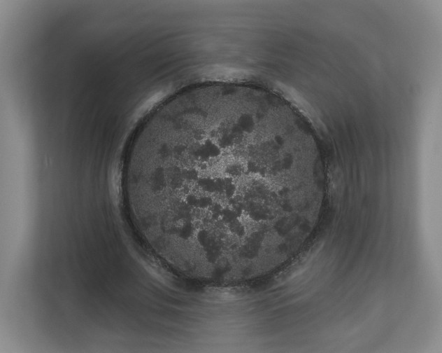X0000111160679200907071129
