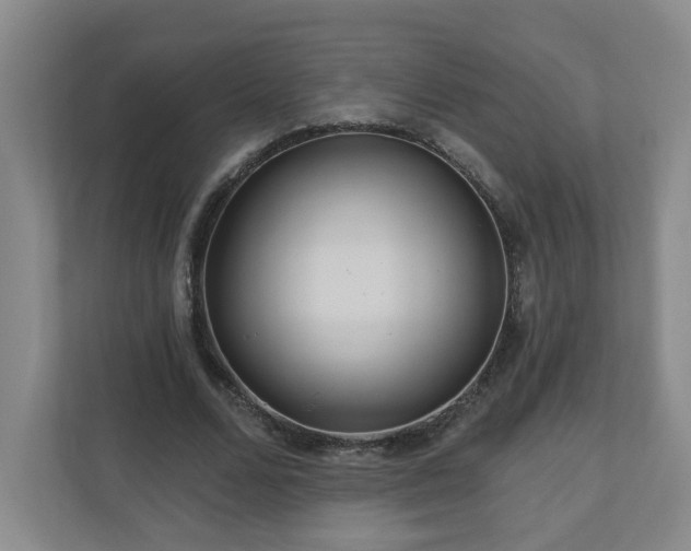 X0000111160680200907071129