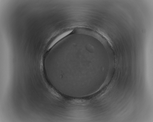 X0000111160681200907071129
