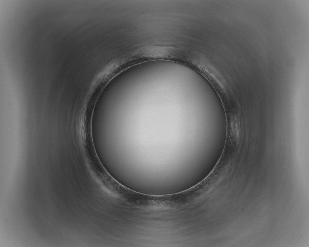 X0000111160682200907071129