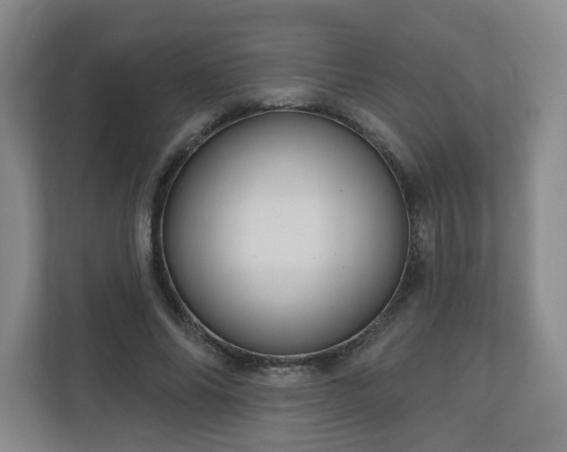 X0000111160686200907071129