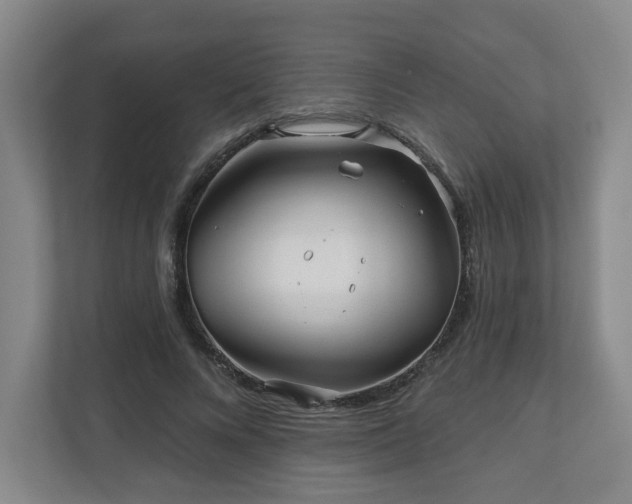 X0000111160688200907071129