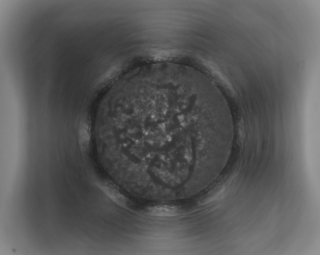 X0000111160691200907071129