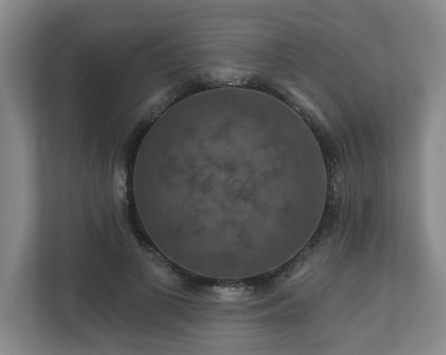 X0000111160693200907071129