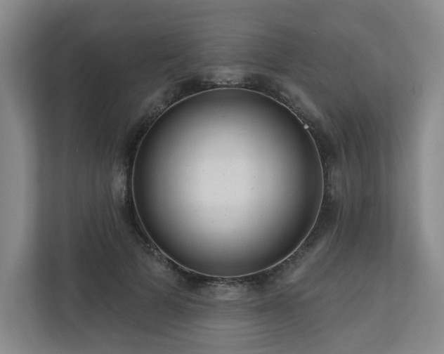 X0000111160697200907071129