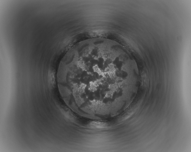 X0000111160699200907071129