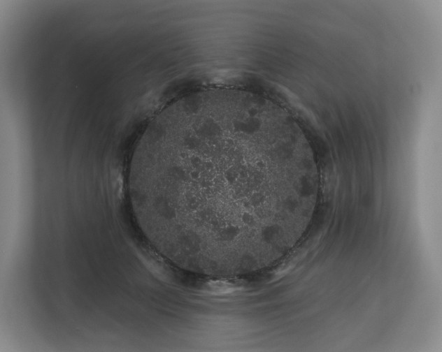 X0000111160703200907071129