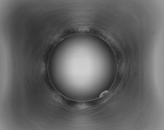 X0000111160704200907071129