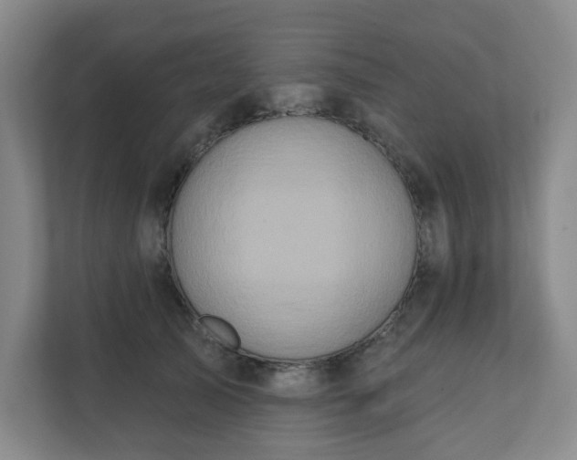 X0000111160705200907071129