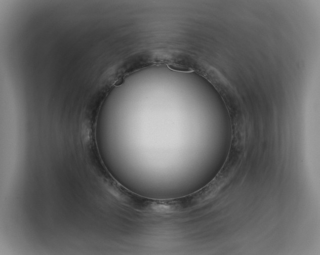 X0000111160706200907071129