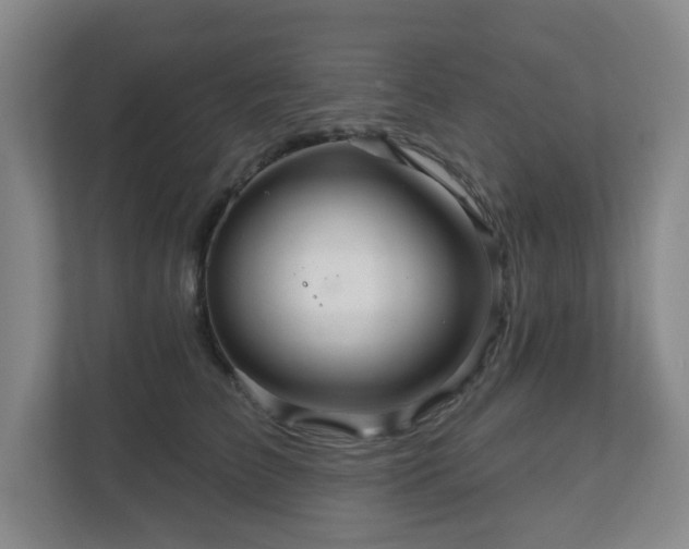X0000111160709200907071129