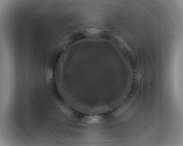 X0000111160711200907071129