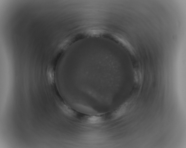 X0000111160718200907071129