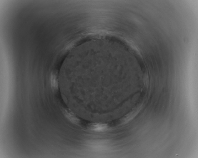 X0000111160719200907071129