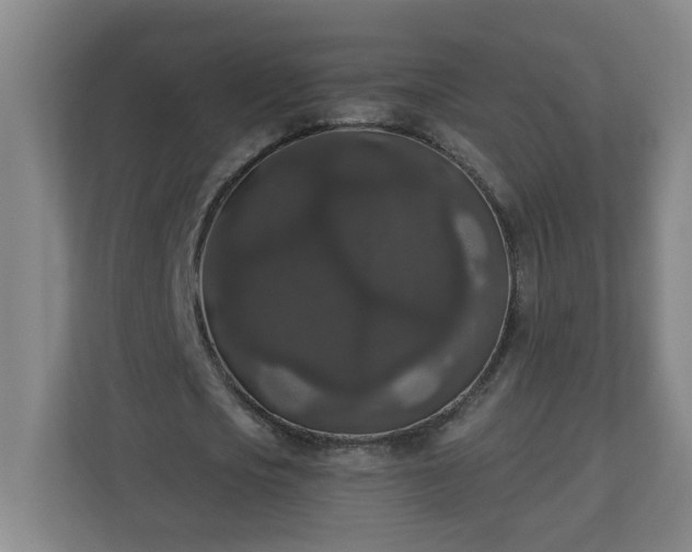 X0000111160721200907071128