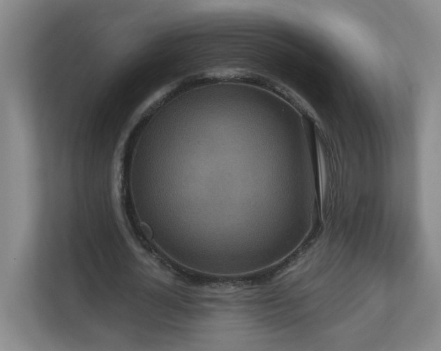 X0000111160724200907071128