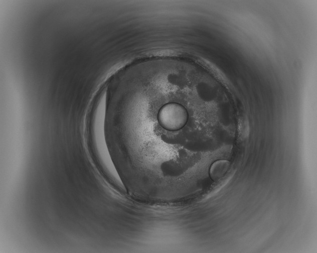 X0000111160725200907071128
