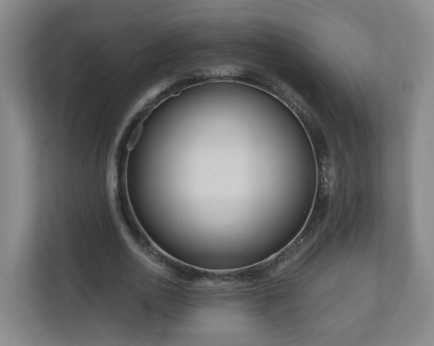 X0000111160726200907071128