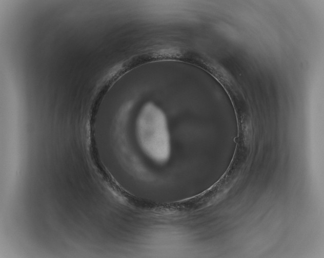 X0000111160729200907071128