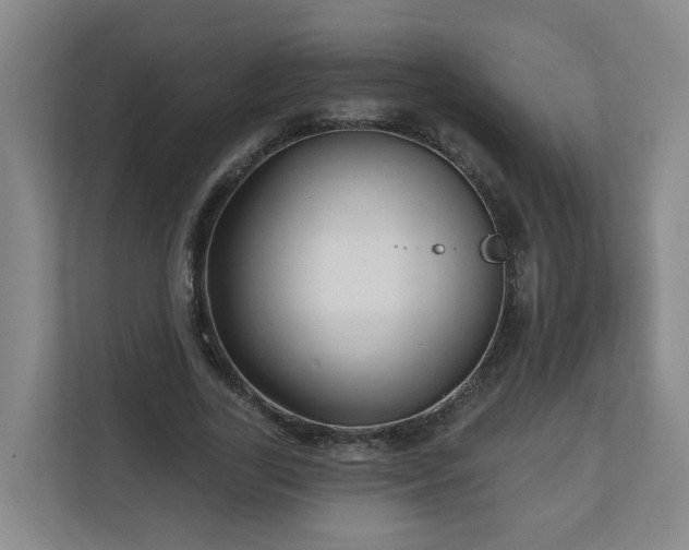 X0000111160731200907071128