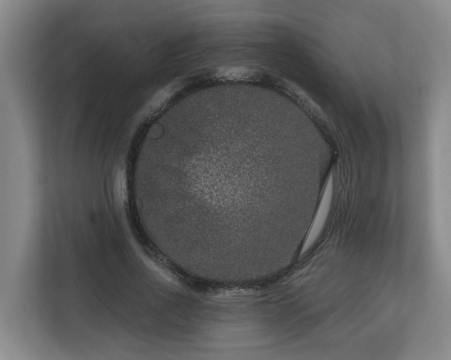 X0000111160734200907071128