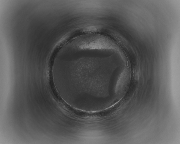X0000111160735200907071128