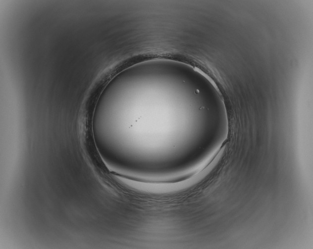X0000111160736200907071128