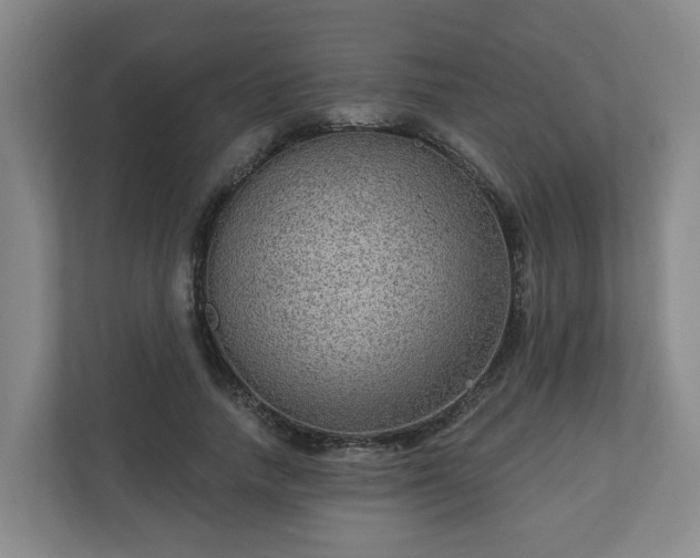 X0000111160738200907071128