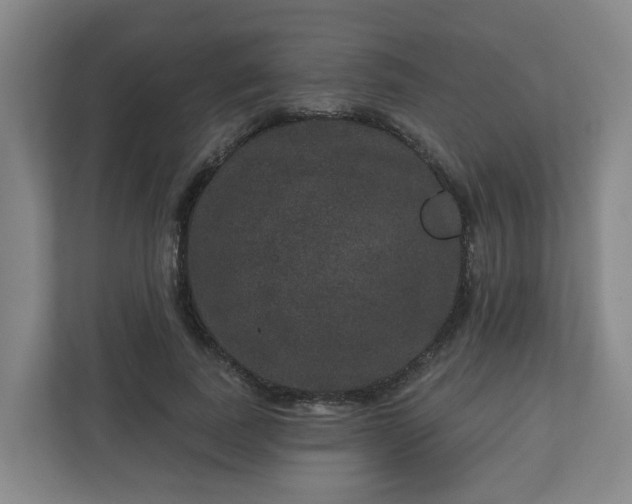 X0000111160739200907071128