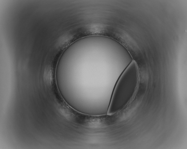 X0000111160740200907071128