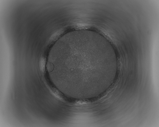 X0000111160742200907071128