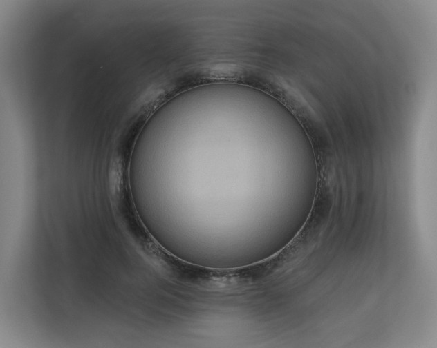 X0000111160744200907071128