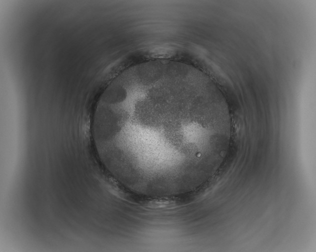 X0000111160745200907071128