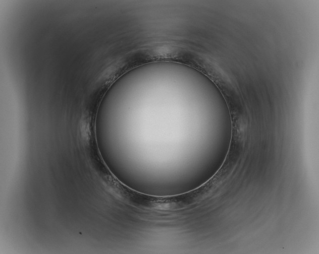 X0000111160746200907071128
