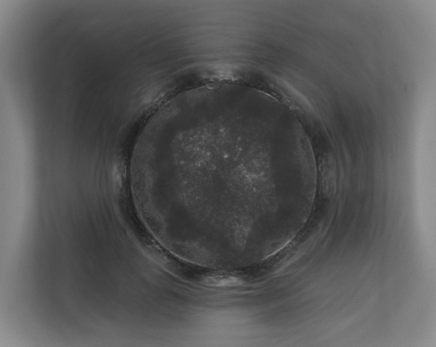X0000111160747200907071128