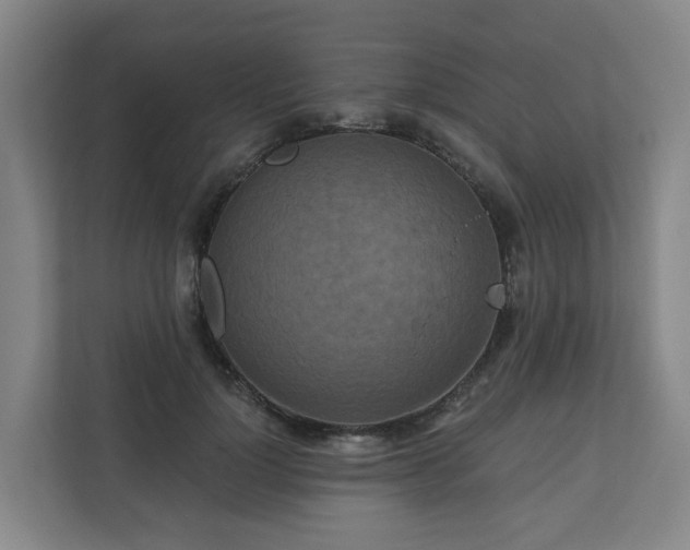 X0000111160748200907071128
