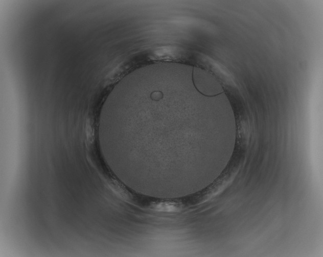X0000111160751200907071128
