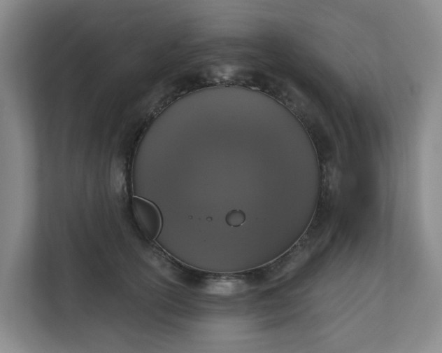 X0000111160754200907071129