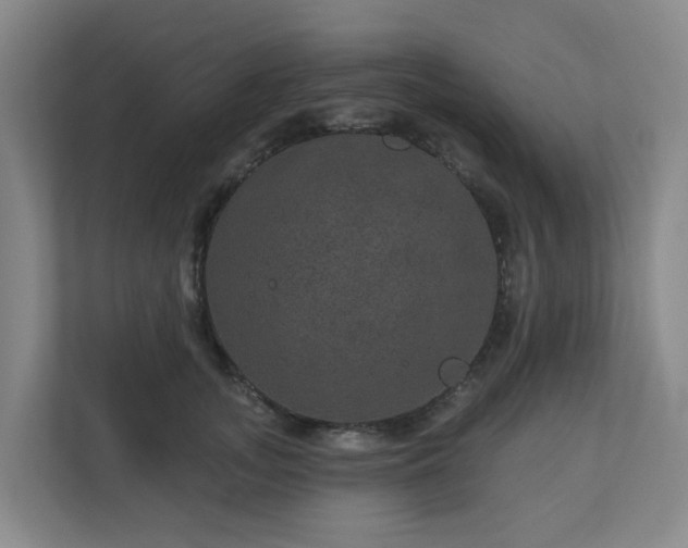 X0000111160755200907071129