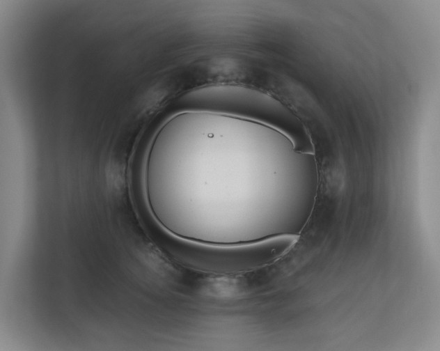 X0000111160756200907071129