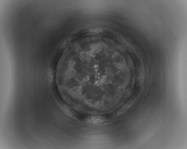 X0000111160758200907071129