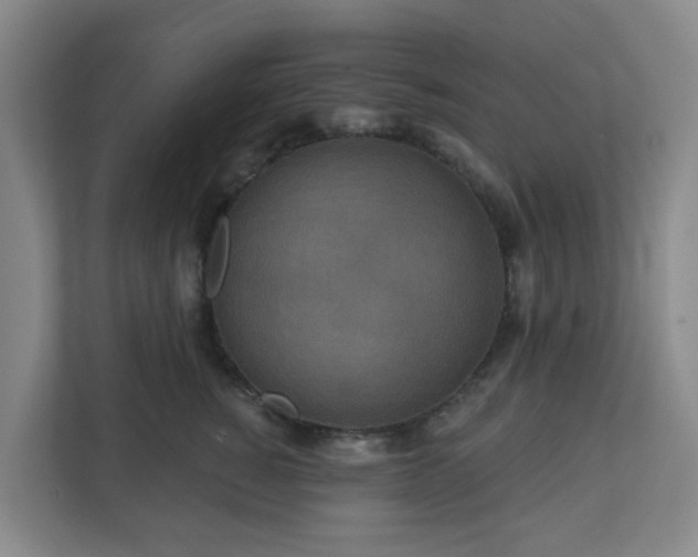 X0000111160760200907071129