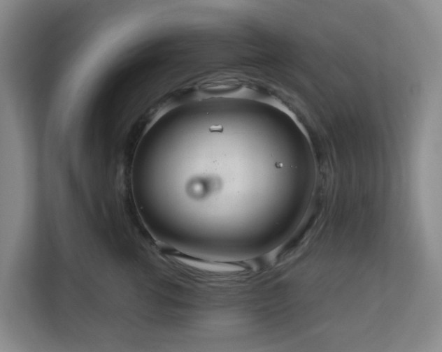 X0000111160762200907071129