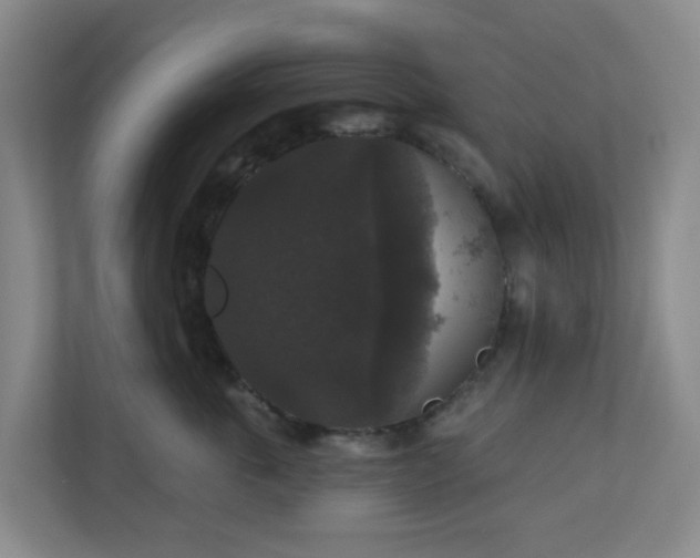 X0000111160763200907071129