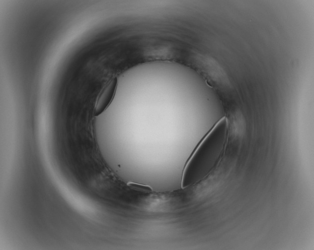 X0000111160764200907071129